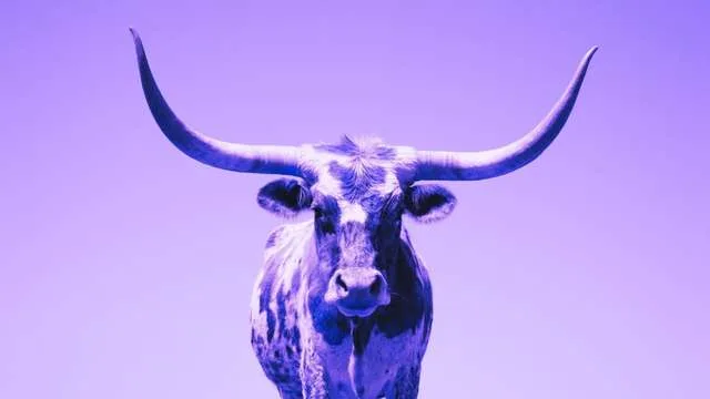 Dreaming About Horns