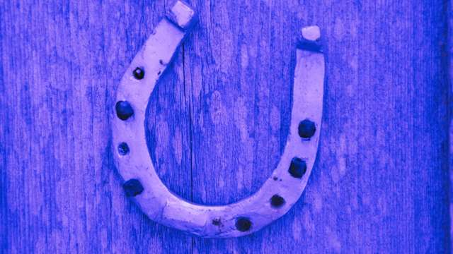 13 Meaning of Dreaming About a Horseshoe | dreamyo