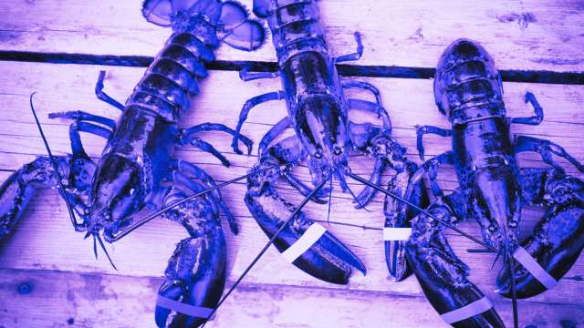 13 Meanings of Dreaming About Lobsters