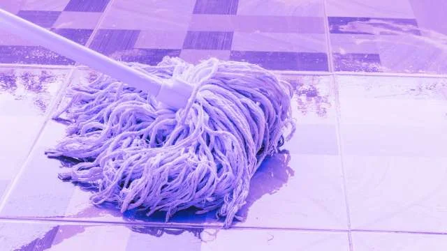 Dreaming of a Mop