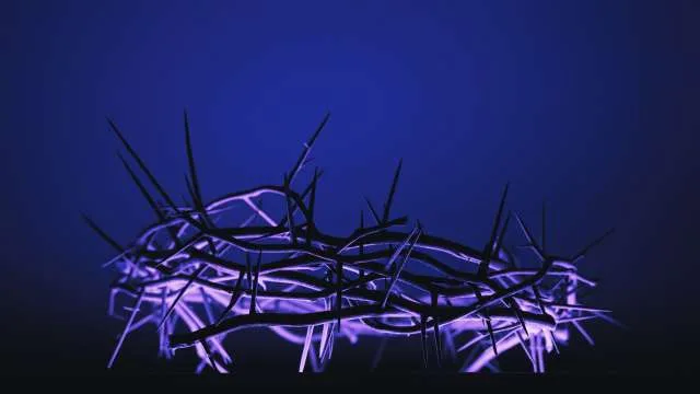 Dreaming About Thorns