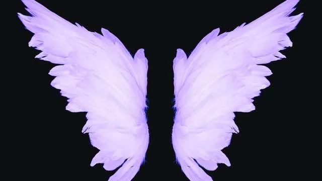 Dreaming About Wings