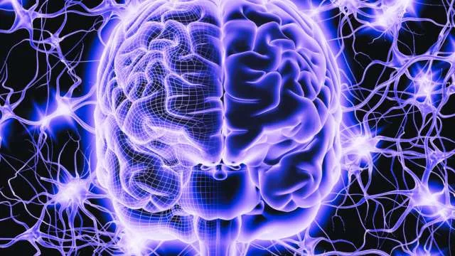 Dreaming About a Brain