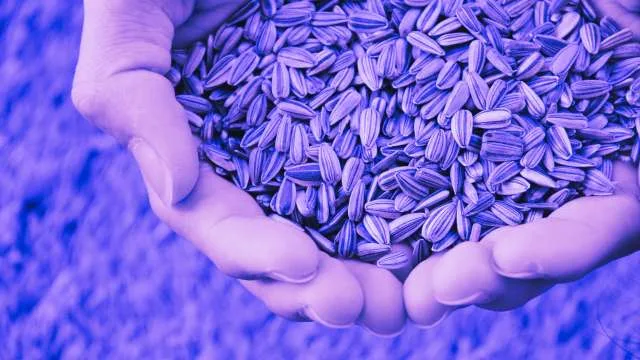 Dreaming About Seeds