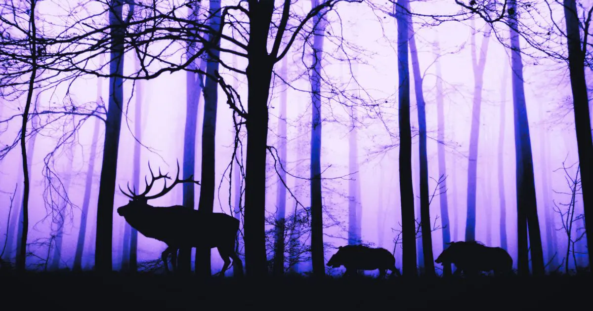 8 Nightmares Involving Wild Animals